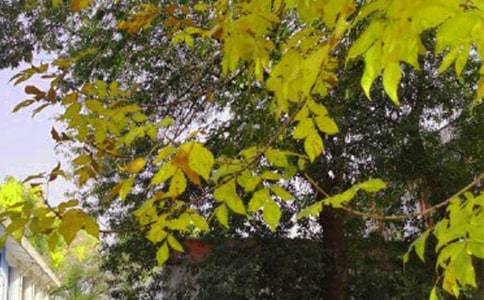 【實用】適合早上發(fā)的早安心語短信23條