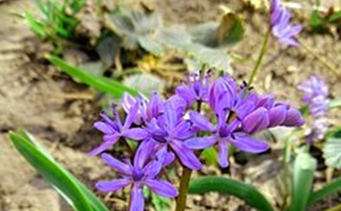 精選美好的早安祝福語(yǔ)語(yǔ)錄匯編66句