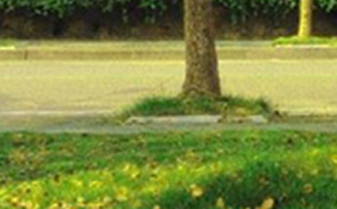 2020年治愈系早安心語短信52條