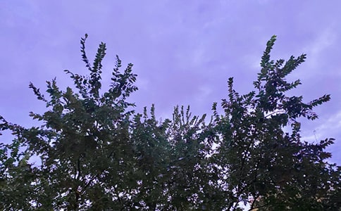 早安說說:早上起床發(fā)的朋友圈