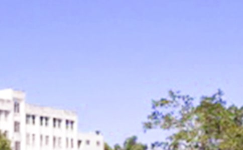 ��(j��ng)��ÿ��һ���簲���Z����19�l