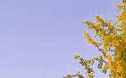 2025���簲���Z����25�l