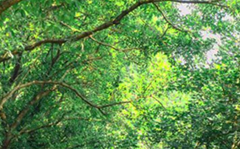 有關(guān)勵(lì)志早安感言大全90句