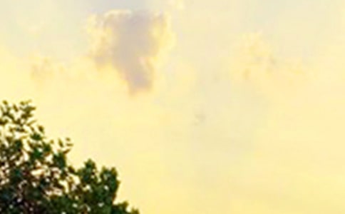 ��ů���簲���Z����32�l