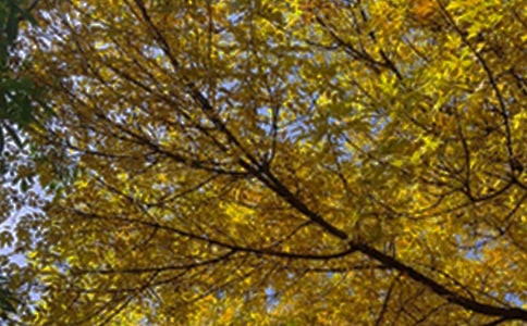 【實用】適合早上發(fā)的早安問候語短信合集55句