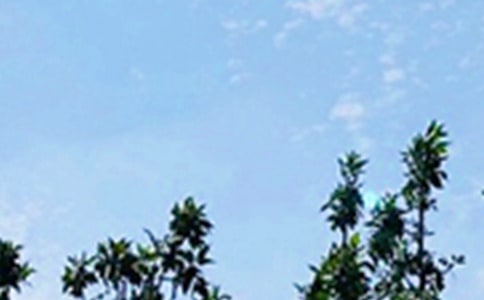 ���x��(y��u)�����簲��(w��n)���Z(y��)����25�l