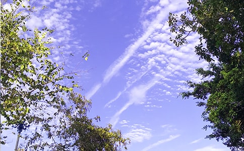 �����T��ÿ��һ���簲���Z(y��)���Ŵ�ϼ�52�l