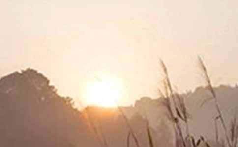 2024�ꃞ(y��u)�����簲�����Z(y��)���ż���53�l