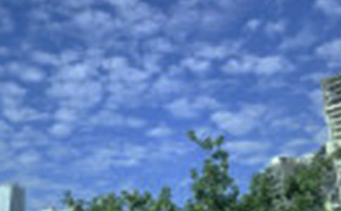 適合早上發(fā)的早安心語短信55條