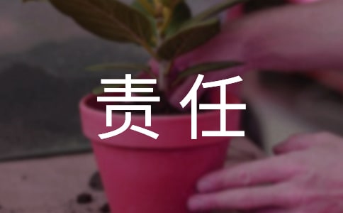 關(guān)于責任記敘文(通用67篇)