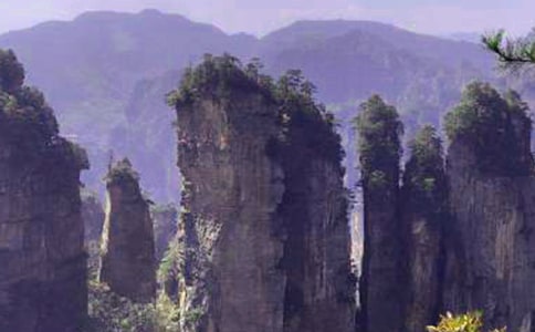 (精品)張家界之旅作文