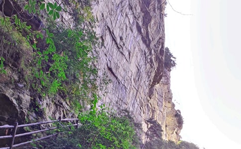 �����ď��ҽ�����