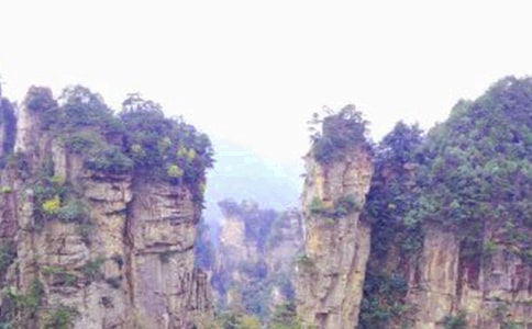 (實(shí)用)張家界之旅作文