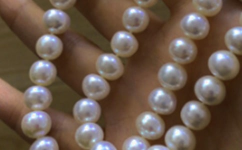 (通用)拾起心中的珍珠作文