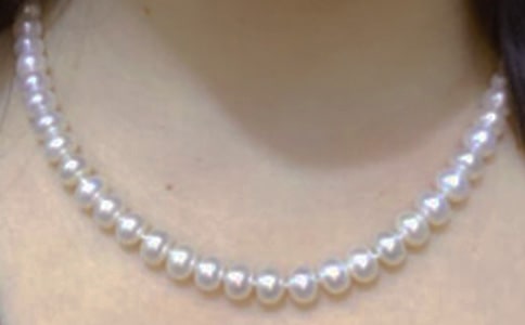 【熱】拾起心中的珍珠作文15篇