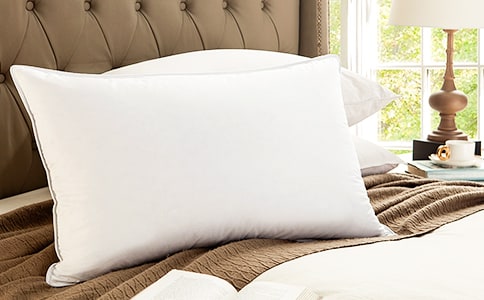 �������^���þ������^�� ����x��냺��