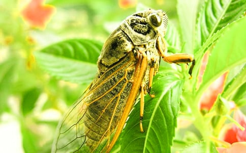 ֪�ˌW�wͯԒ����