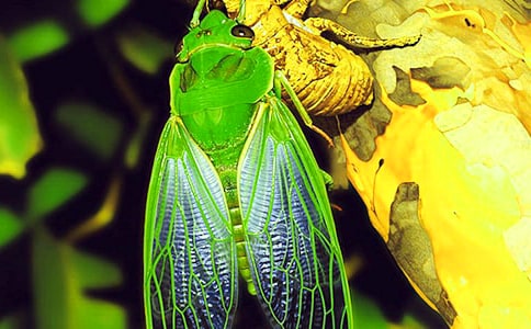 [��(y��u)]׽֪�˺�����8ƪ