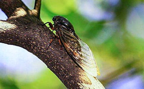 ֪�ˌW(xu��)�w���ľ��x(10ƪ)