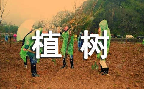 �P(gu��n)��ֲ�����ֵ��V�Z