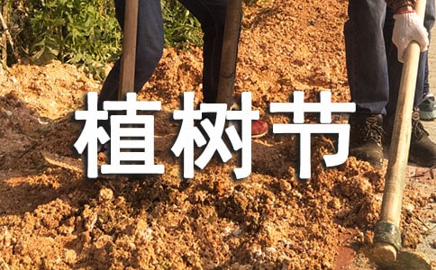 С�W(xu��)ֲ�九(ji��)���ă�(y��u)�x��10ƪ��