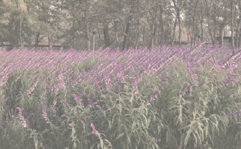 ֲ��@С�W����ӛ���x[15ƪ]