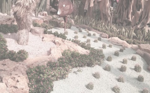 ����ֲ��@�һ���(ji��)�r�g