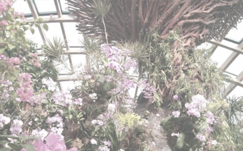 �����ֲ��@����350��