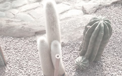 ֲ��@����������15ƪ