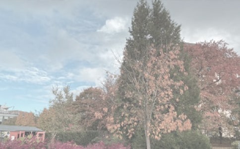 ֲ��@������ -����