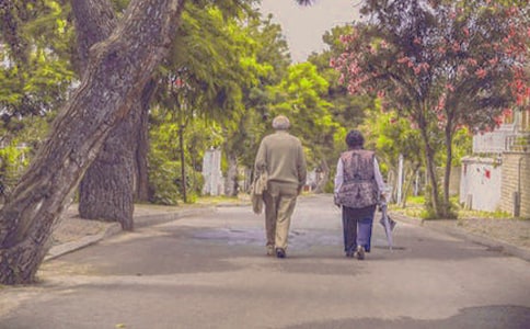 �茑�����Ԋ��[���]]