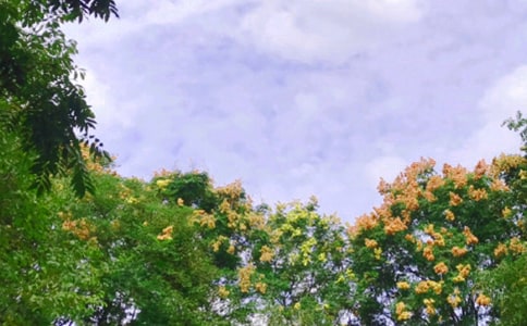 �ڄ�(d��ng)������Ҏ(gu��)��������͵�Ҏ(gu��)������