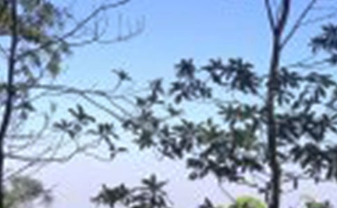 �������熖(w��n)���Z(y��)