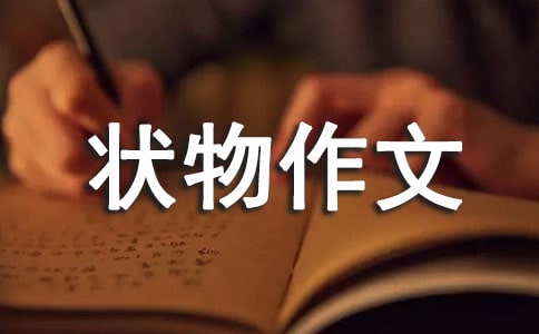 ���������������u(p��ng)�Z(y��)���\
