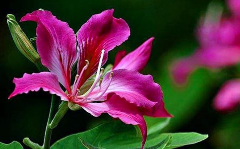 �茑(xi��)���G���ĺ��~�þ�ö�