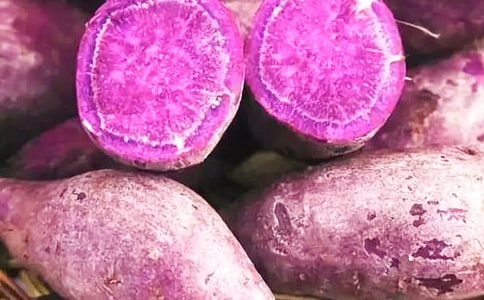 �������g�ЋD���Ժ���������