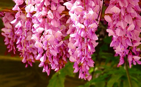 ���ٻ��_����