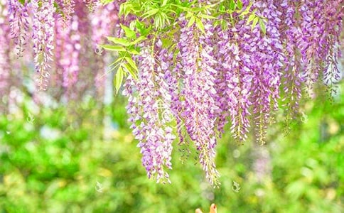 ��ε�ϡ����w�����ٻ���ȫ��