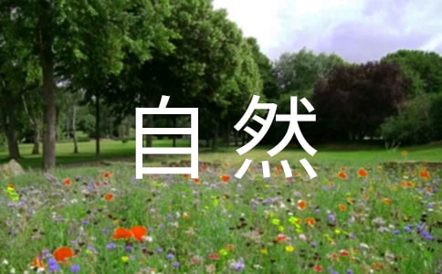 林湄《自然之思》高一散文閱讀題及答案