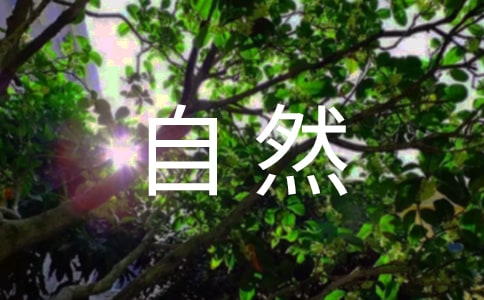 聽(tīng)聽(tīng)大自然的聲音