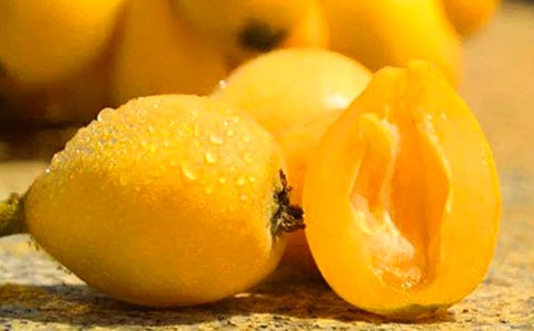 摘枇杷作文(集合)