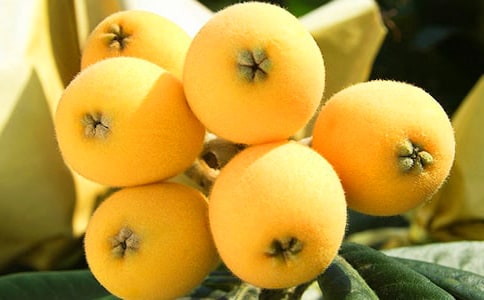 [����]���˵�����