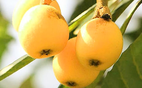 ժ��������[��(sh��)��]