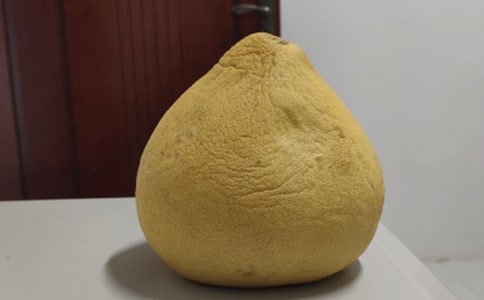 ��������_650��