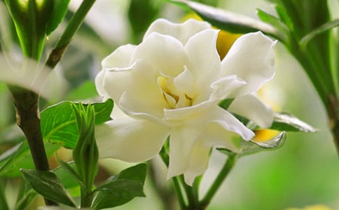 �d�ӻ��_���ľ�Ʒ(15ƪ)