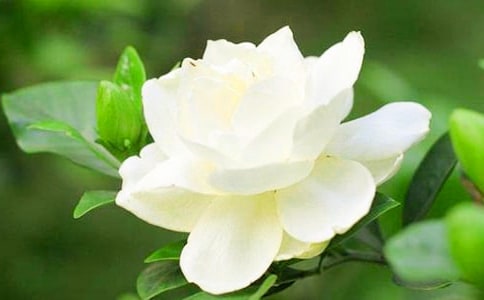 �d�ӻ��_(k��i)���ąR����15ƪ��