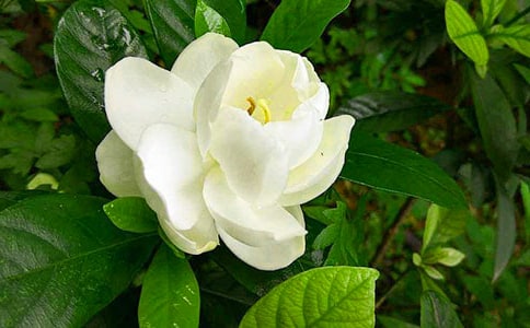 �����ã��d�ӻ��_����