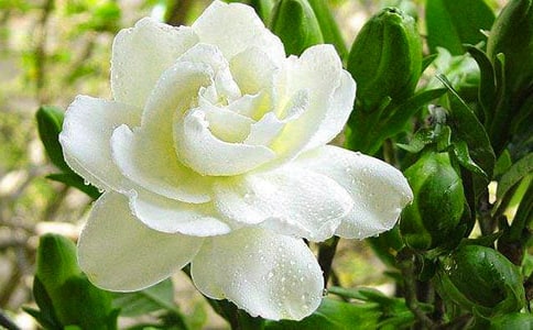 �d�ӻ�������11ƪ����(sh��)�á�