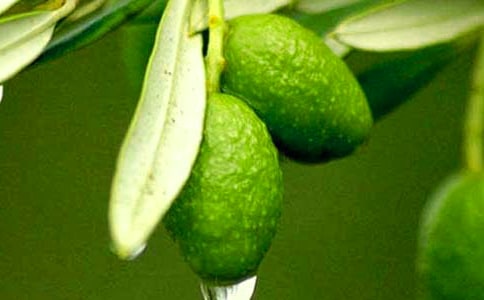 �ϙ��Ϳɽ������K�l(f��)���L�U