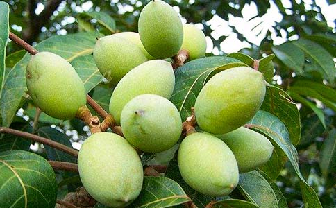 �ϙ��ͳ��ˌ�������Σ������ô�Ը�������